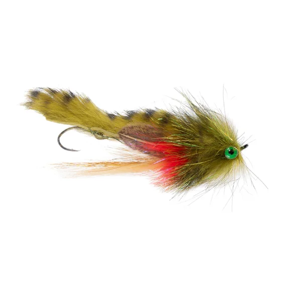 sportfishtackle202606040315032606384