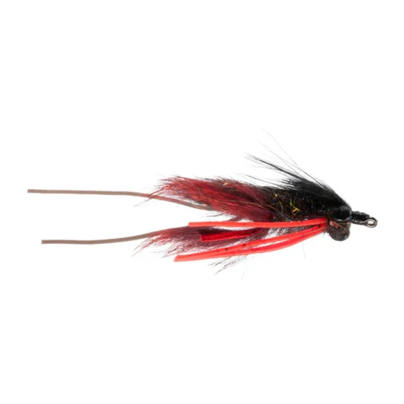 sportfishtackle202606040315072606397