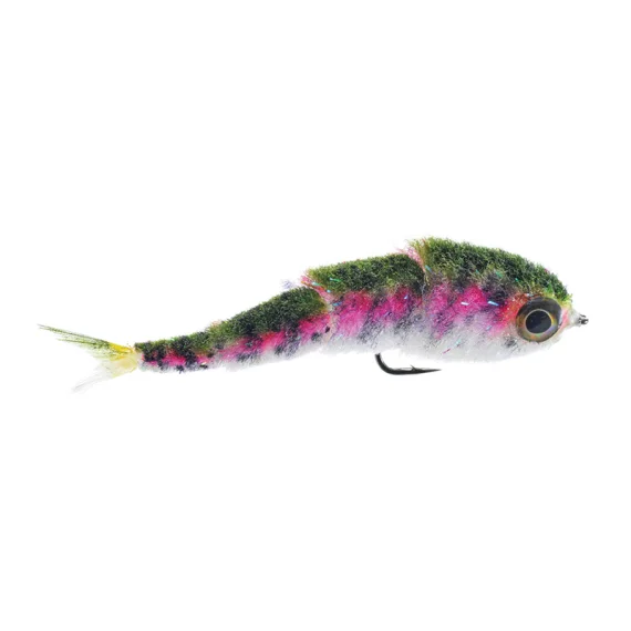 sportfishtackle202606040315152606423
