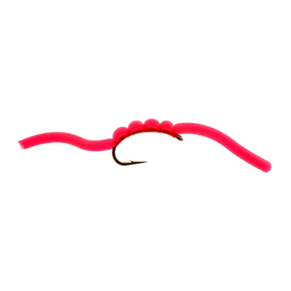 sportfishtackle202606040315182606431