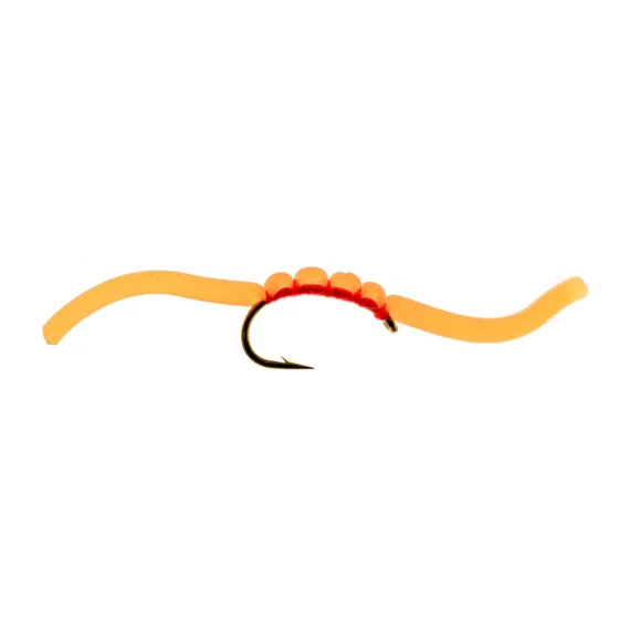 sportfishtackle202606040315192606436
