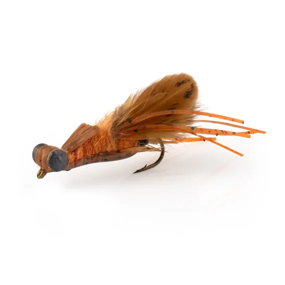 sportfishtackle202606040316272606629