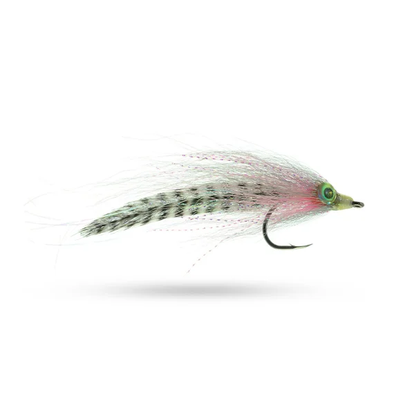 sportfishtackle202606040318102606920