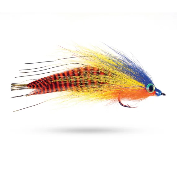 sportfishtackle202606040318132606930