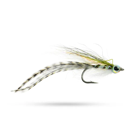 sportfishtackle202606040318172606939