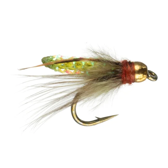 sportfishtackle202606040320072607261