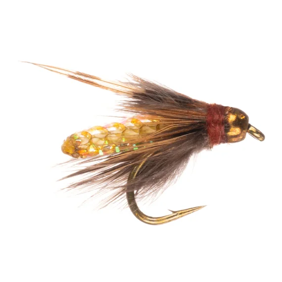 sportfishtackle202606040320102607269
