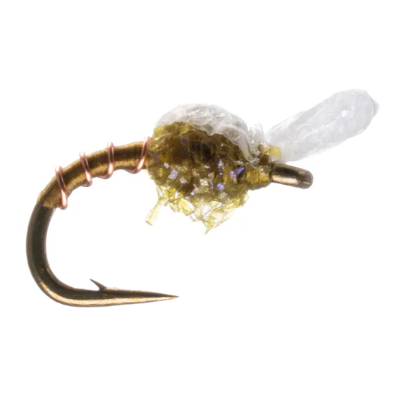 sportfishtackle202606040321172607459