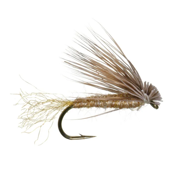 sportfishtackle202606040321572607573