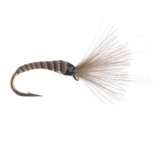 sportfishtackle202606040322132607621