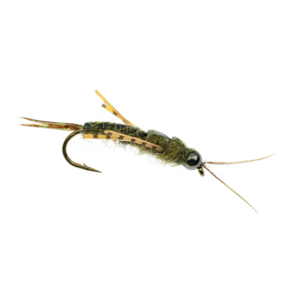 sportfishtackle202606040322462607718