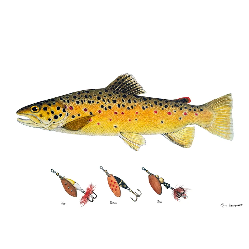 sportfishtackle202606040323252607830