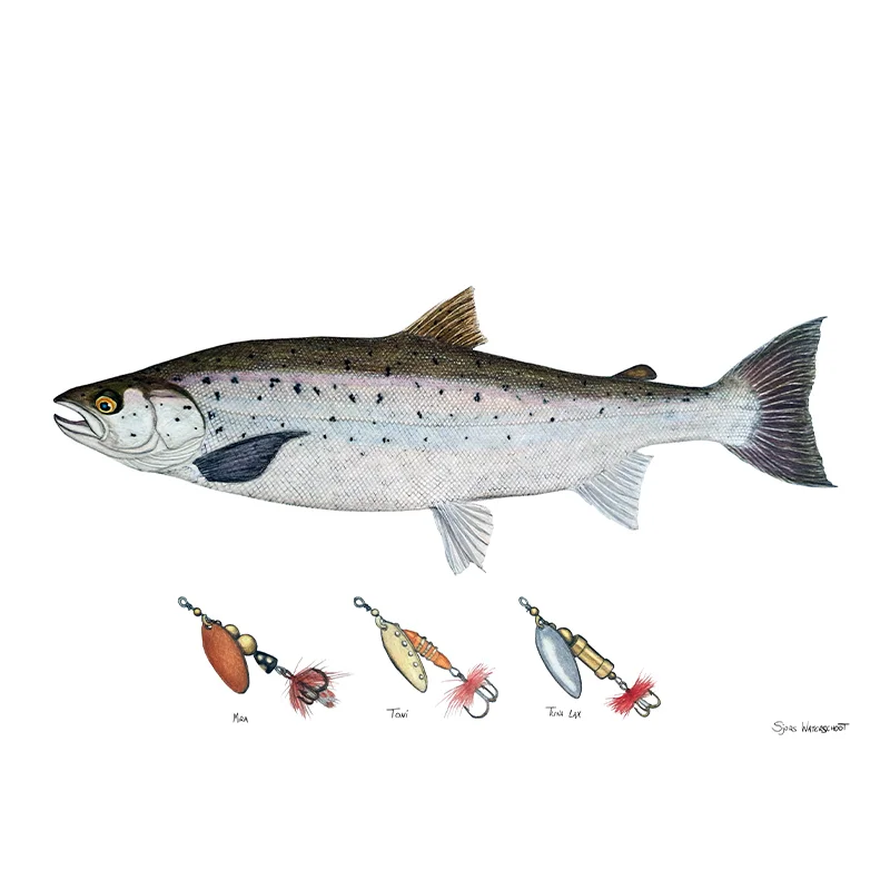 sportfishtackle202606040323262607836