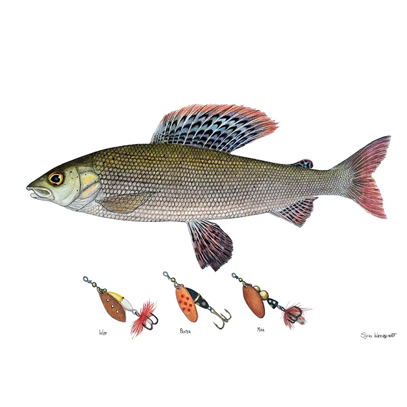 sportfishtackle202606040323342607856