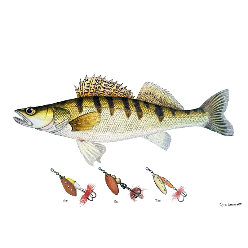 sportfishtackle202606040323402607877