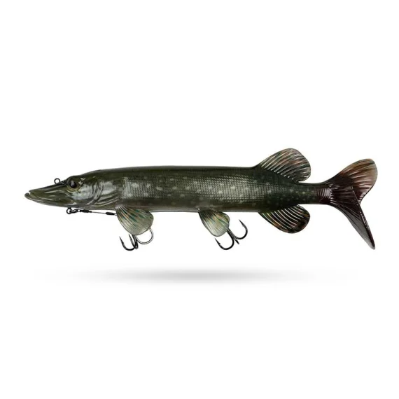 sportfishtackle202606040326242608349