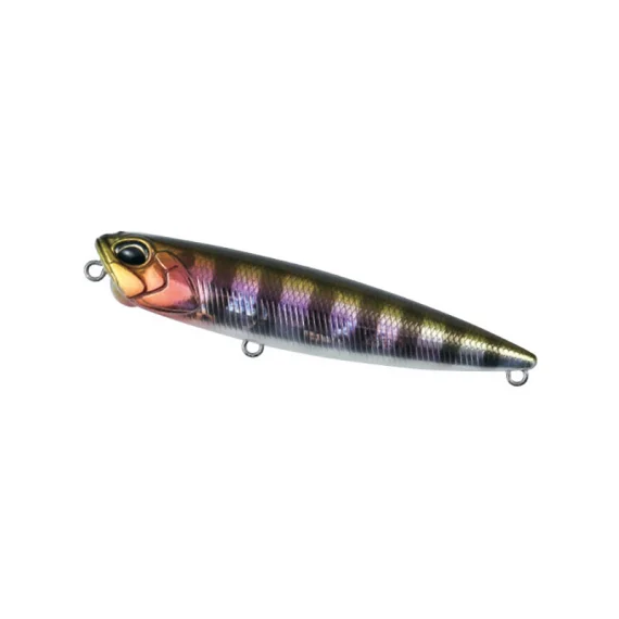 sportfishtackle202606040339542610566