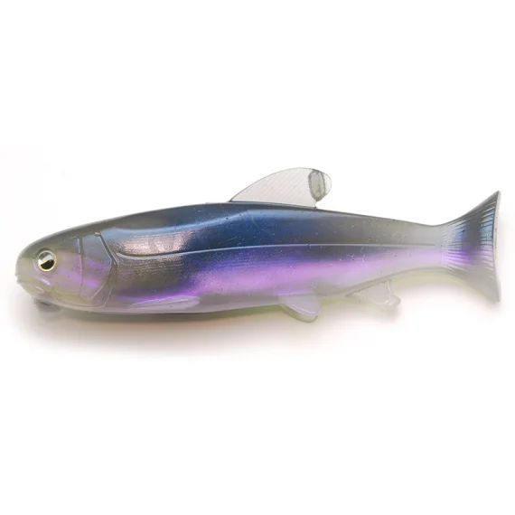 sportfishtackle202606040357392613429