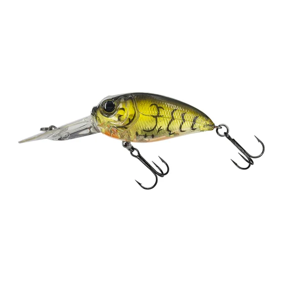 sportfishtackle202606040414572616252