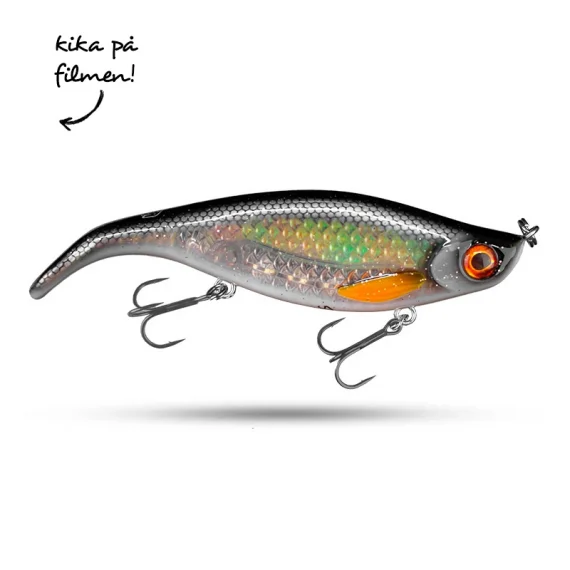 sportfishtackle202606040415052616273
