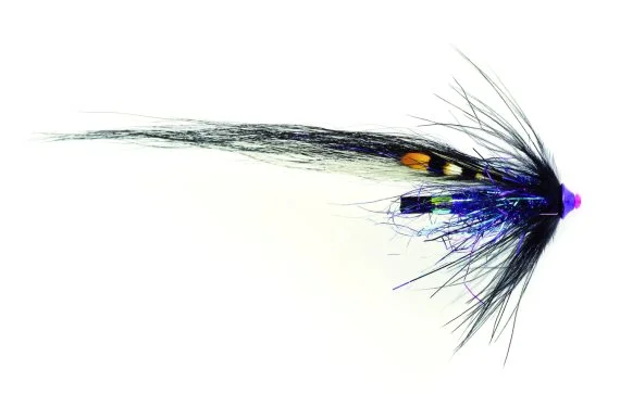 sportfishtackle202606040429032618539