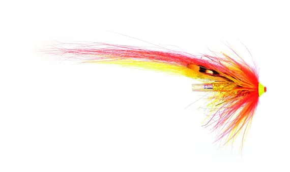 sportfishtackle202606040430262618767
