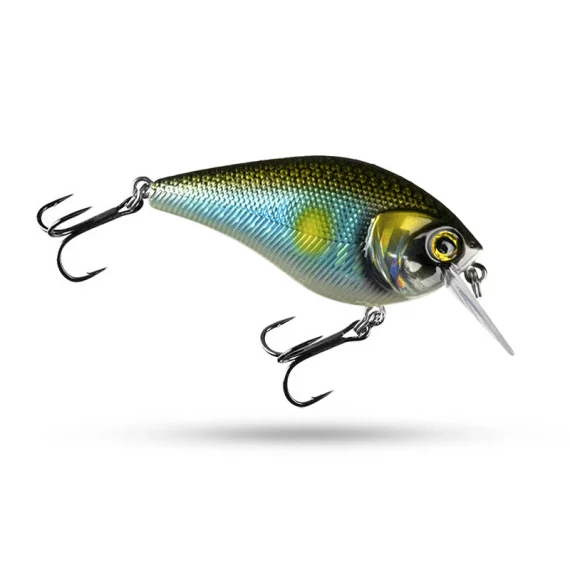 sportfishtackle202606040436492619812