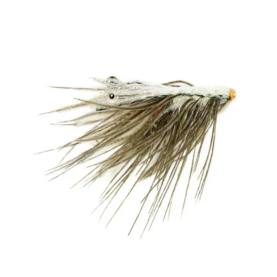 sportfishtackle202606040437142619877