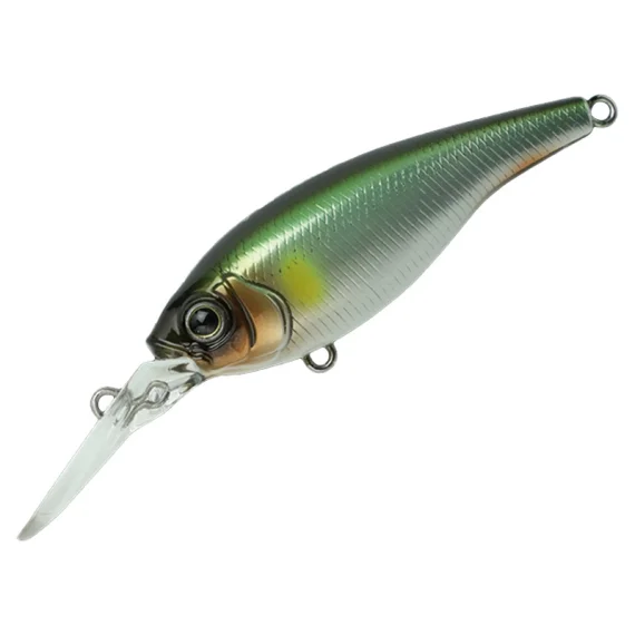 sportfishtackle202606040500182623473
