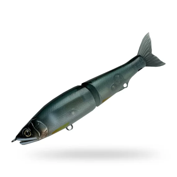 sportfishtackle202606040501192623617