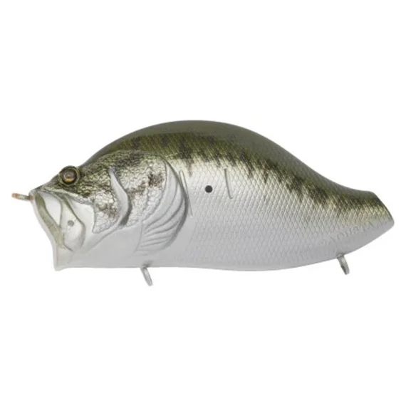sportfishtackle202606040502072623738