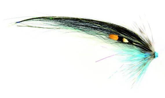sportfishtackle202606040503522624000