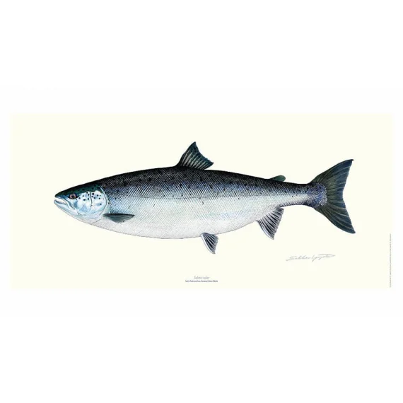 sportfishtackle202606040514442625668