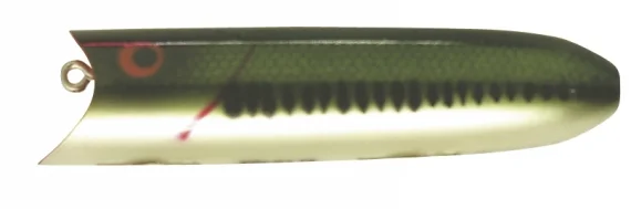 sportfishtackle202606040536162629132