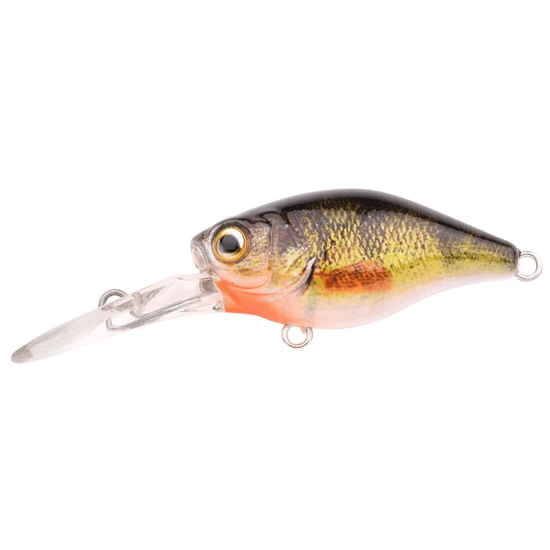 zunnebeld202606032318172546812