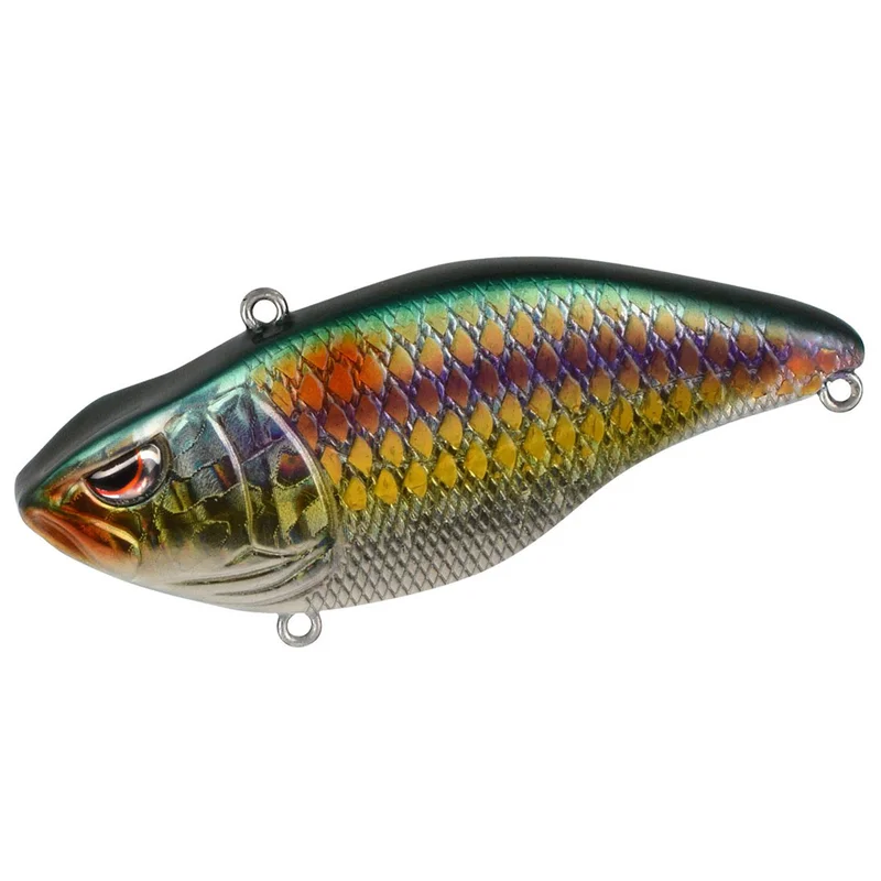 zunnebeld202606040045142570120